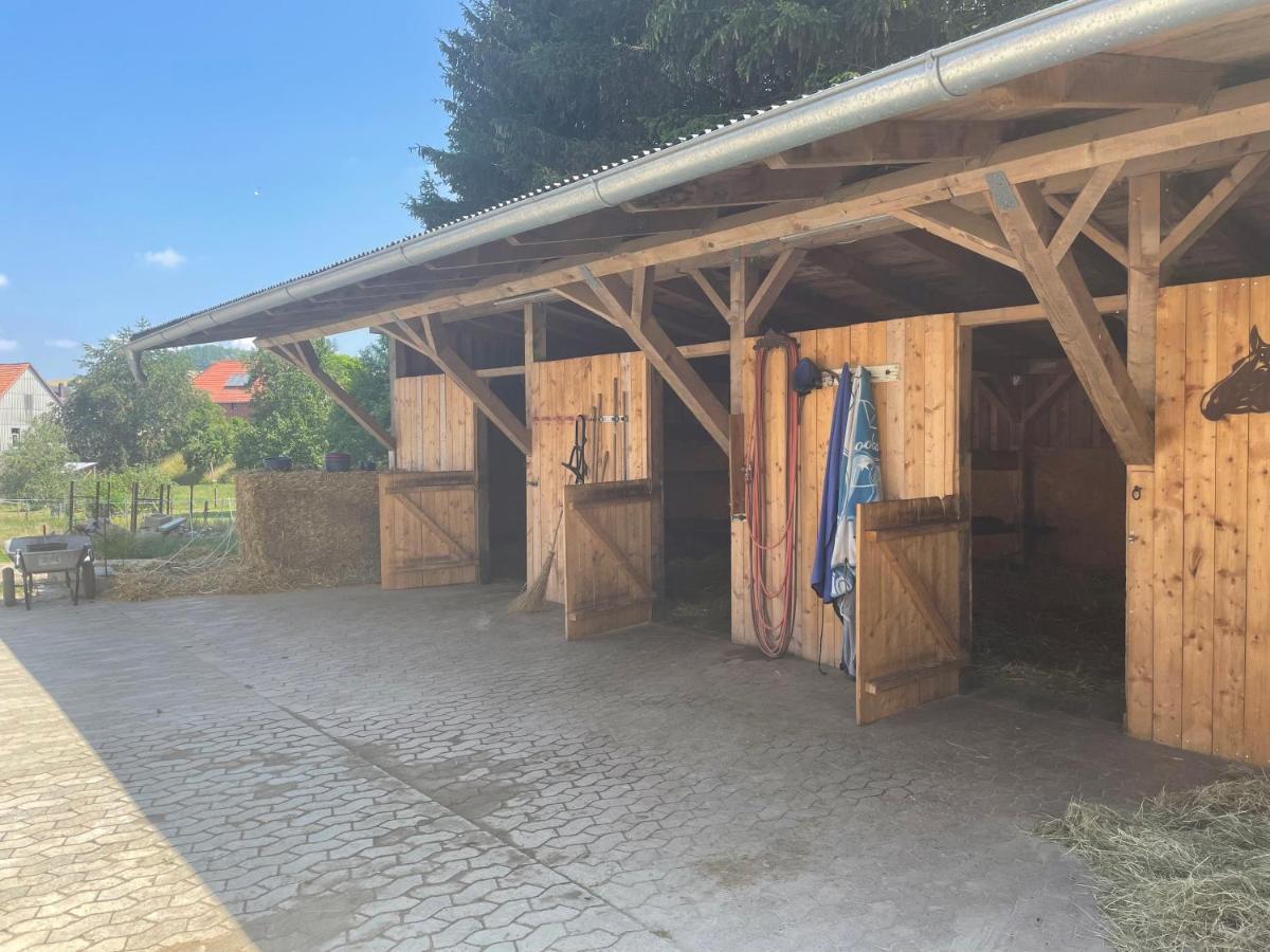 Luises Ferienglueck Apartment Vernawahlshausen Luaran gambar