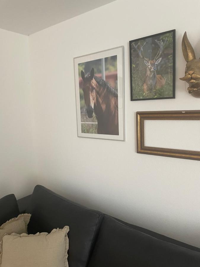 Luises Ferienglueck Apartment Vernawahlshausen Luaran gambar